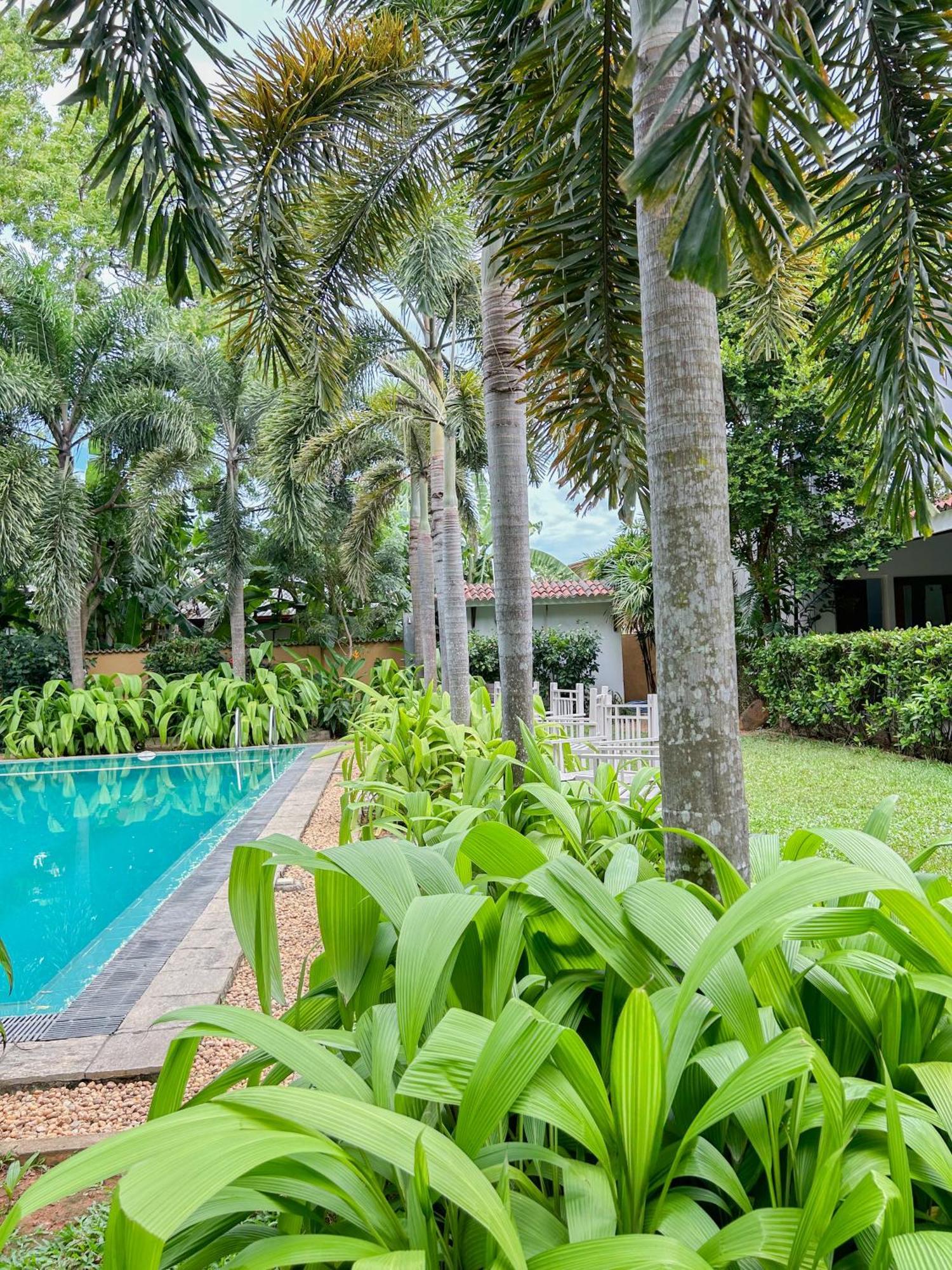 Wild Heaven Tissamaharama Exterior foto