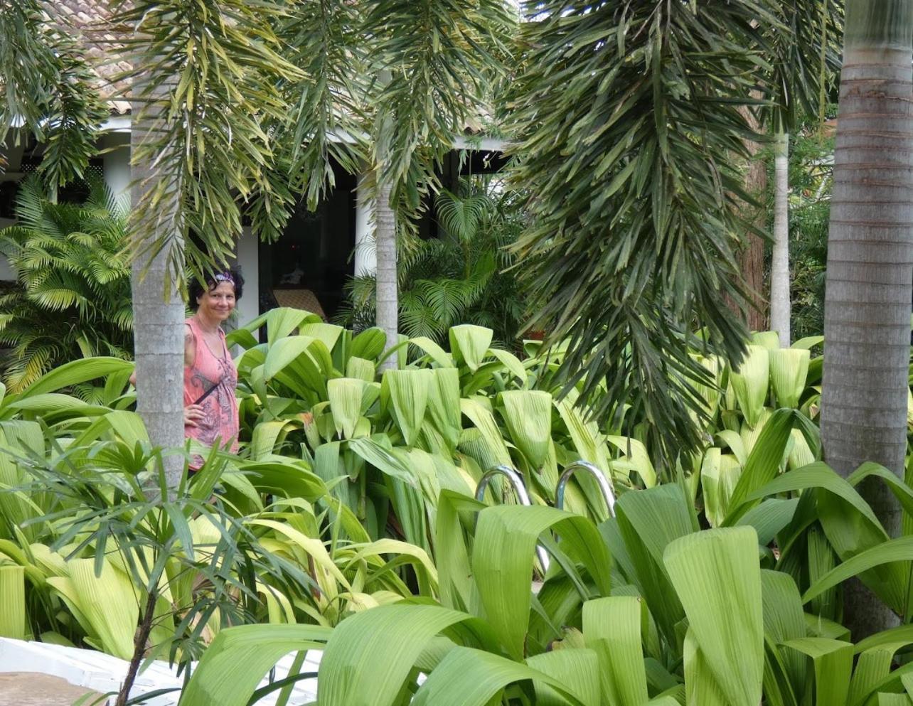 Wild Heaven Tissamaharama Exterior foto