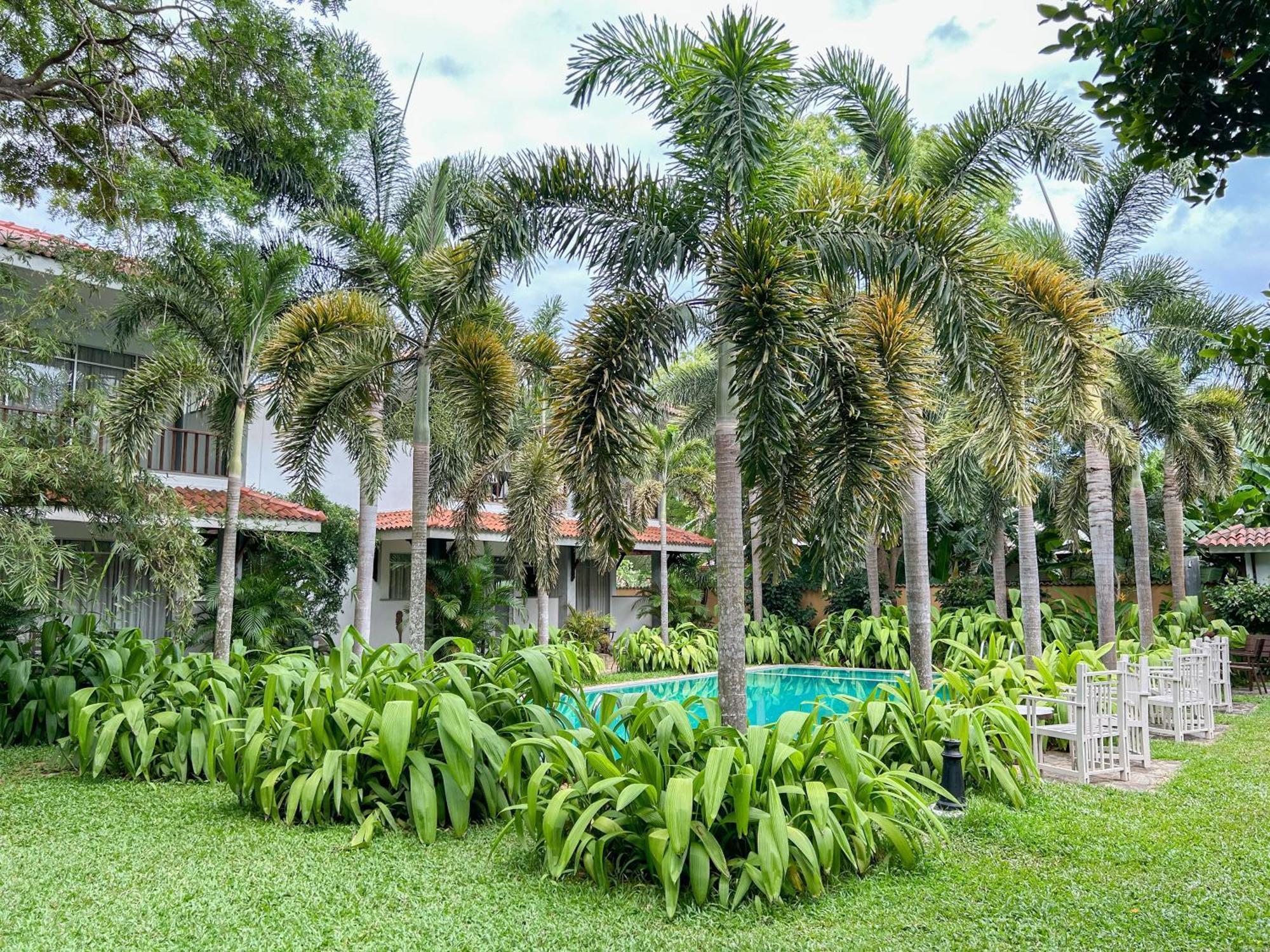 Wild Heaven Tissamaharama Exterior foto