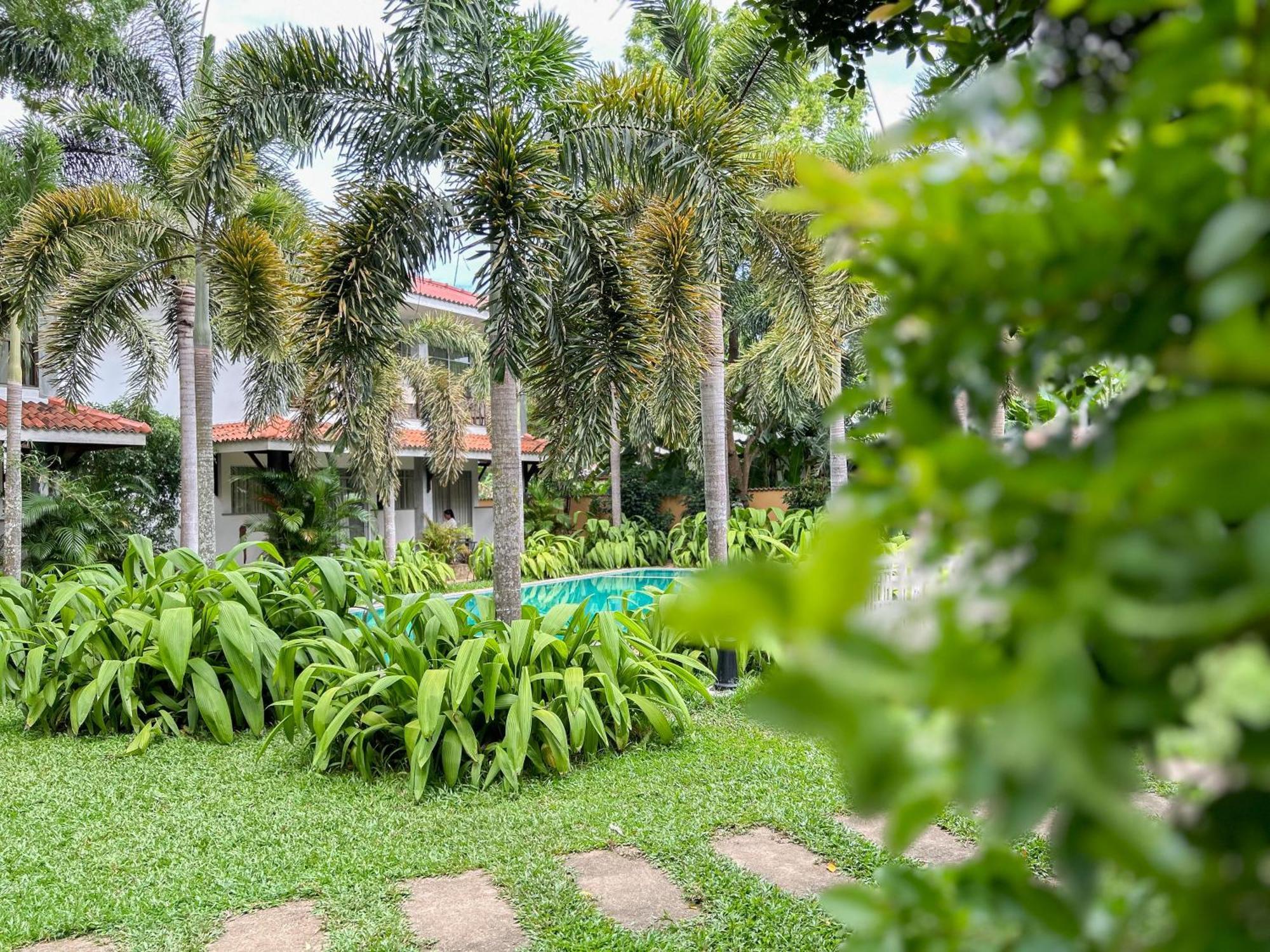Wild Heaven Tissamaharama Exterior foto
