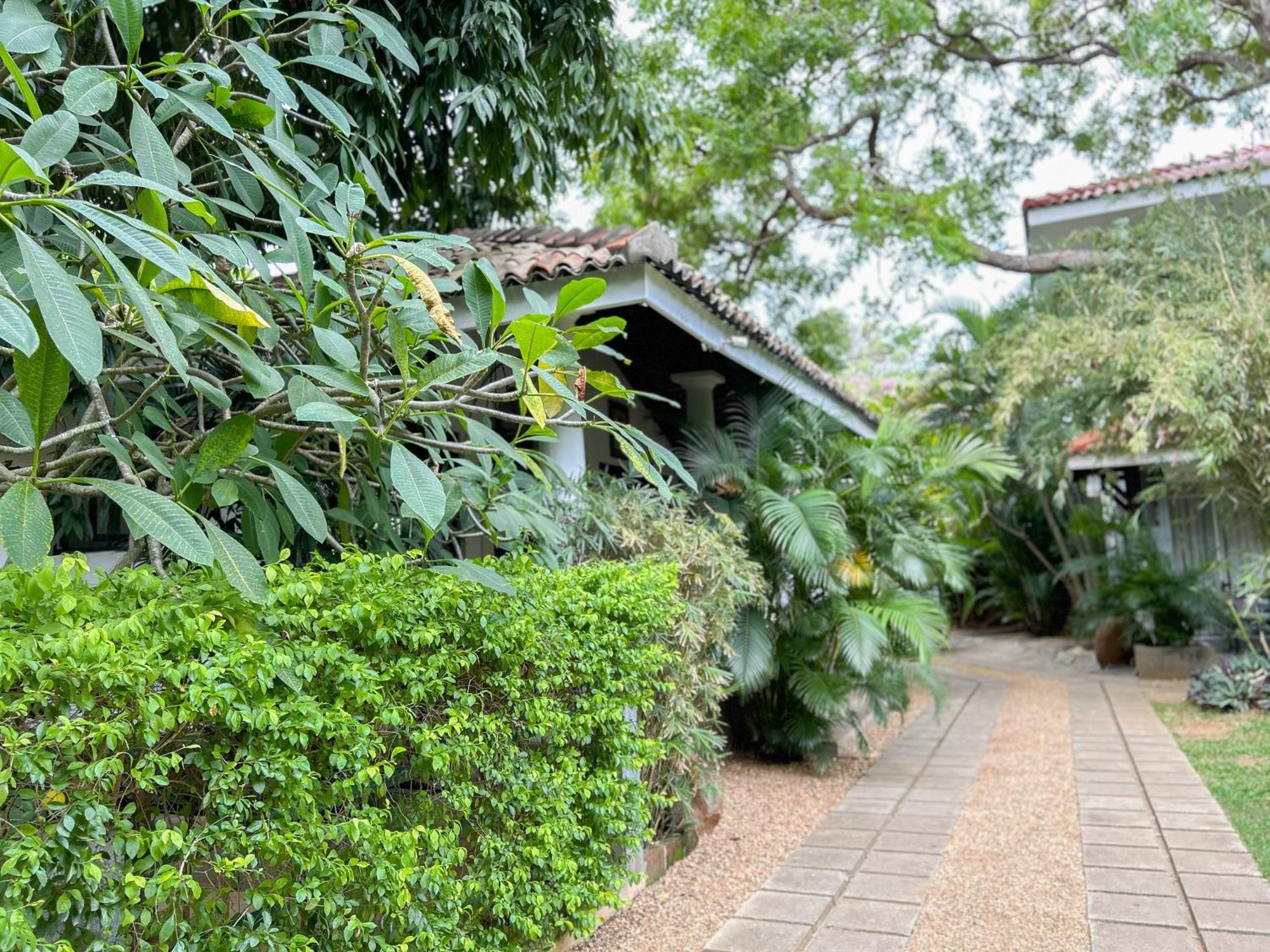 Wild Heaven Tissamaharama Exterior foto