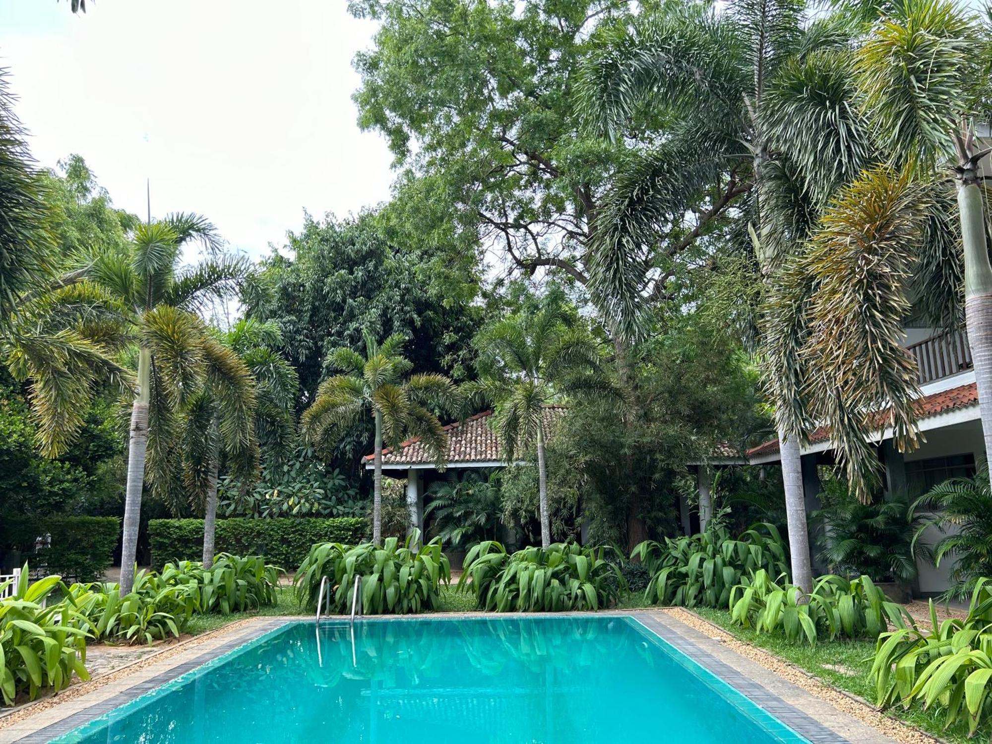 Wild Heaven Tissamaharama Exterior foto